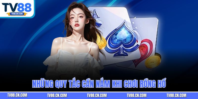 Những quy tắc cần nắm khi chơi Rồng Hổ