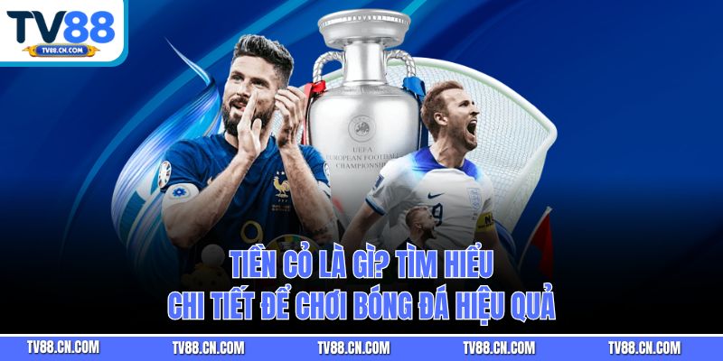 Tiền Cỏ Là Gì? Tìm Hiểu Chi Tiết Để Chơi Bóng Đá Hiệu Quả